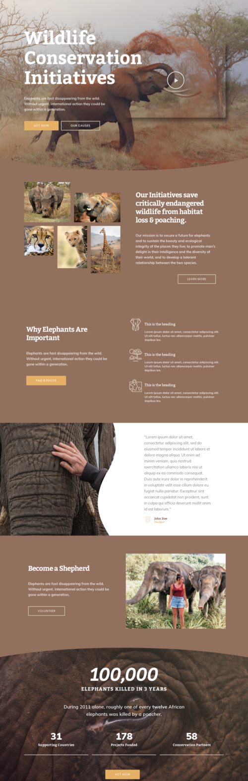 Elementor kit - Wildlife Conservation - Home 1