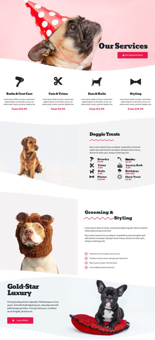 Dog Grooming Services