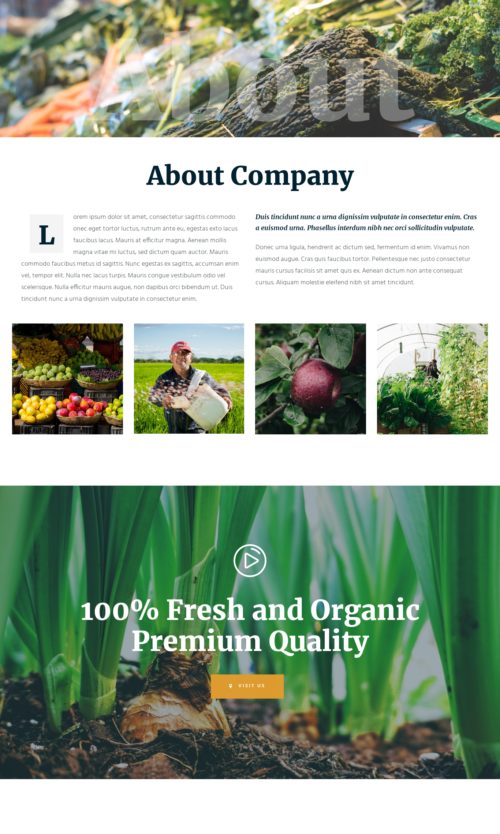 Organic Food Store - About 1