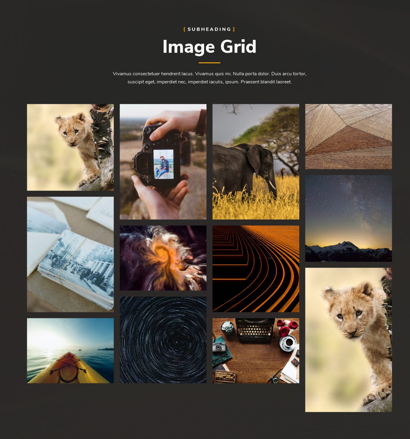 Image Gallery 6