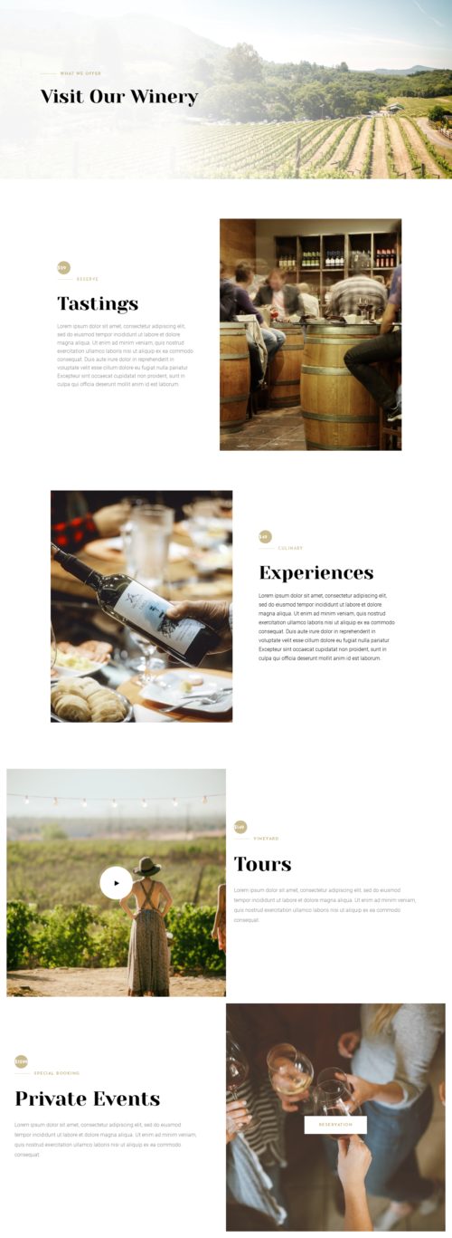 Winery - Winery 2