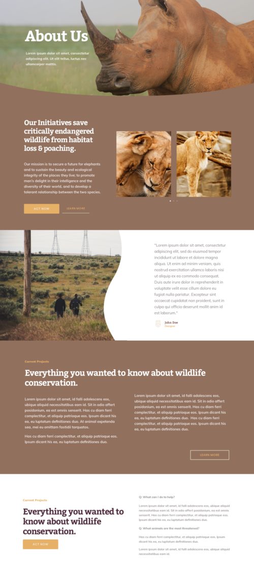 Elementor kit - Wildlife Conservation - Our Team