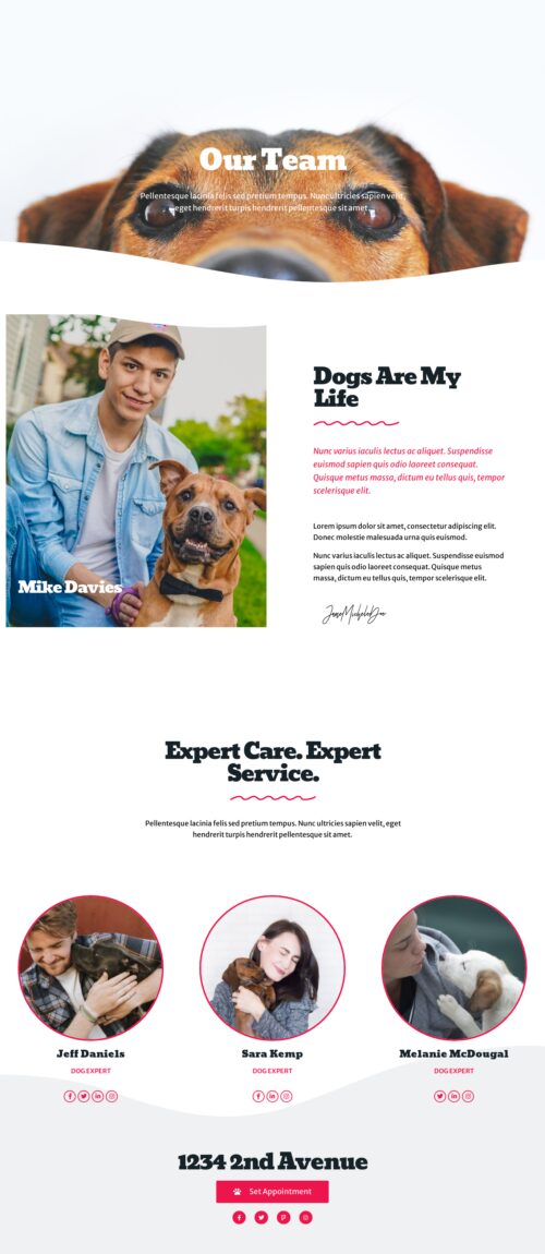 Dog Grooming Team