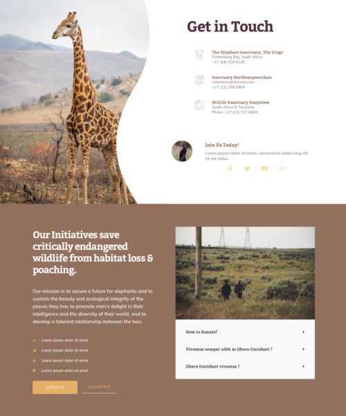 Elementor kit - Wildlife Conservation - Contact