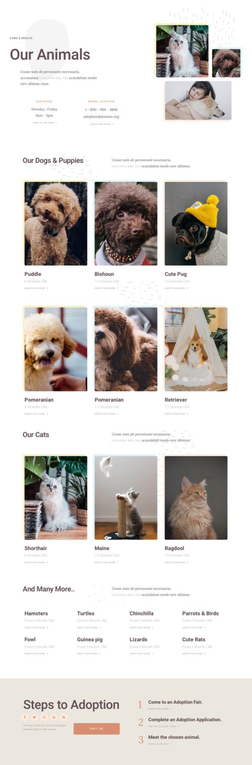 Animal Rescue - Our animals