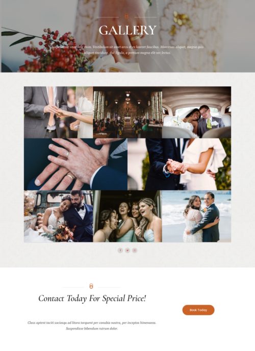 Marriage Celebrant - Gallery
