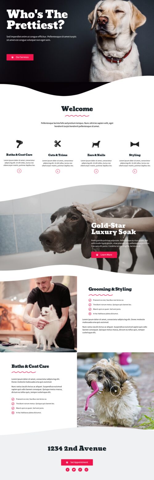 Dog Grooming Home 1