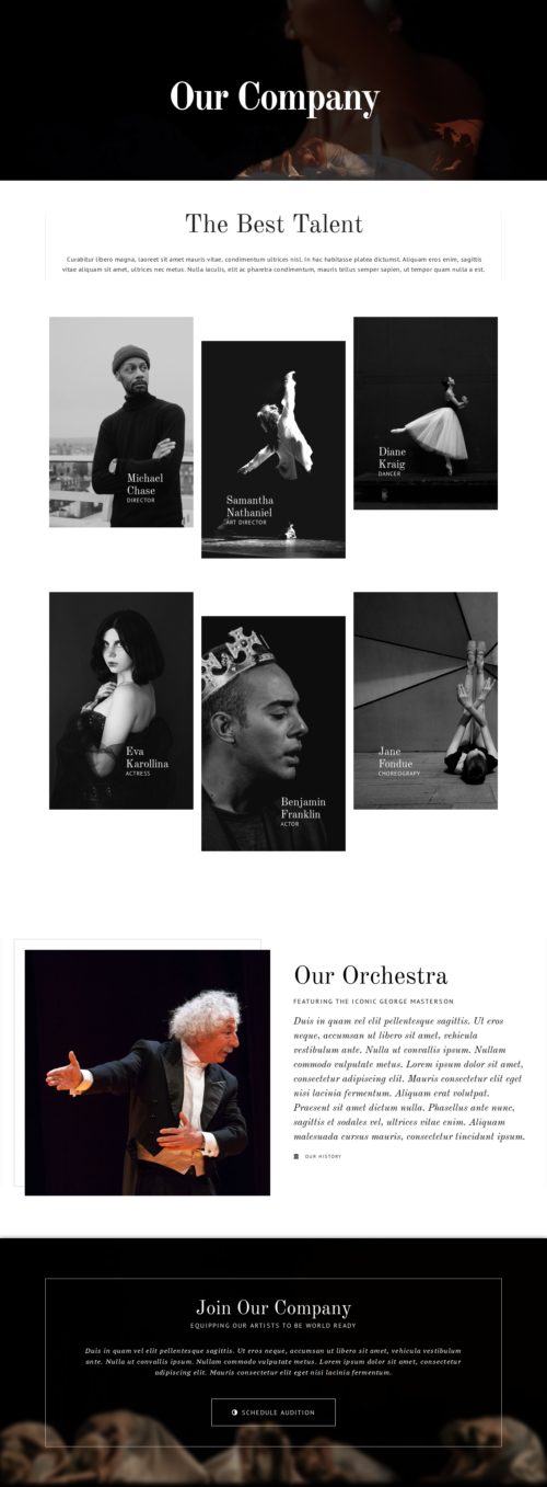 Theatre Company - Our Company