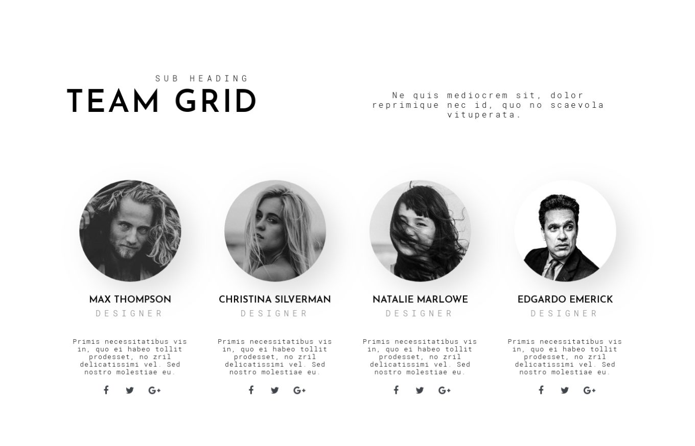 Team 11