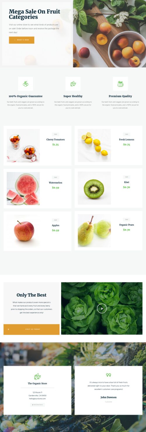 Organic Food Store - Home 3