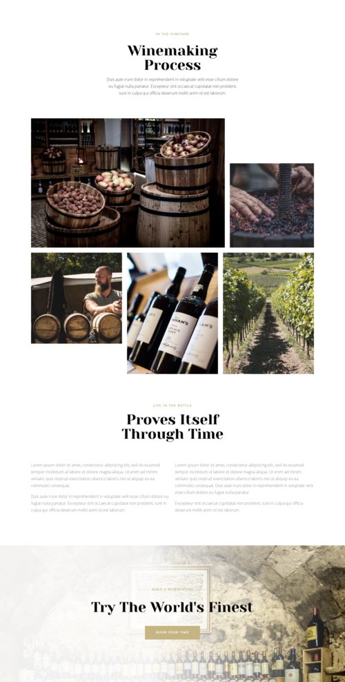 Winery - Our process