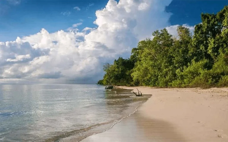 Kalipur beach coastline