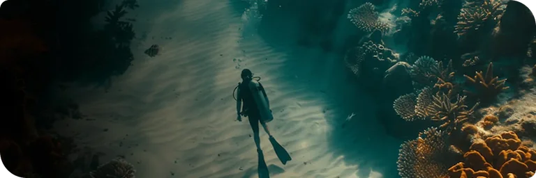 Walk the Ocean Floor, Touch the Wonders Below alt