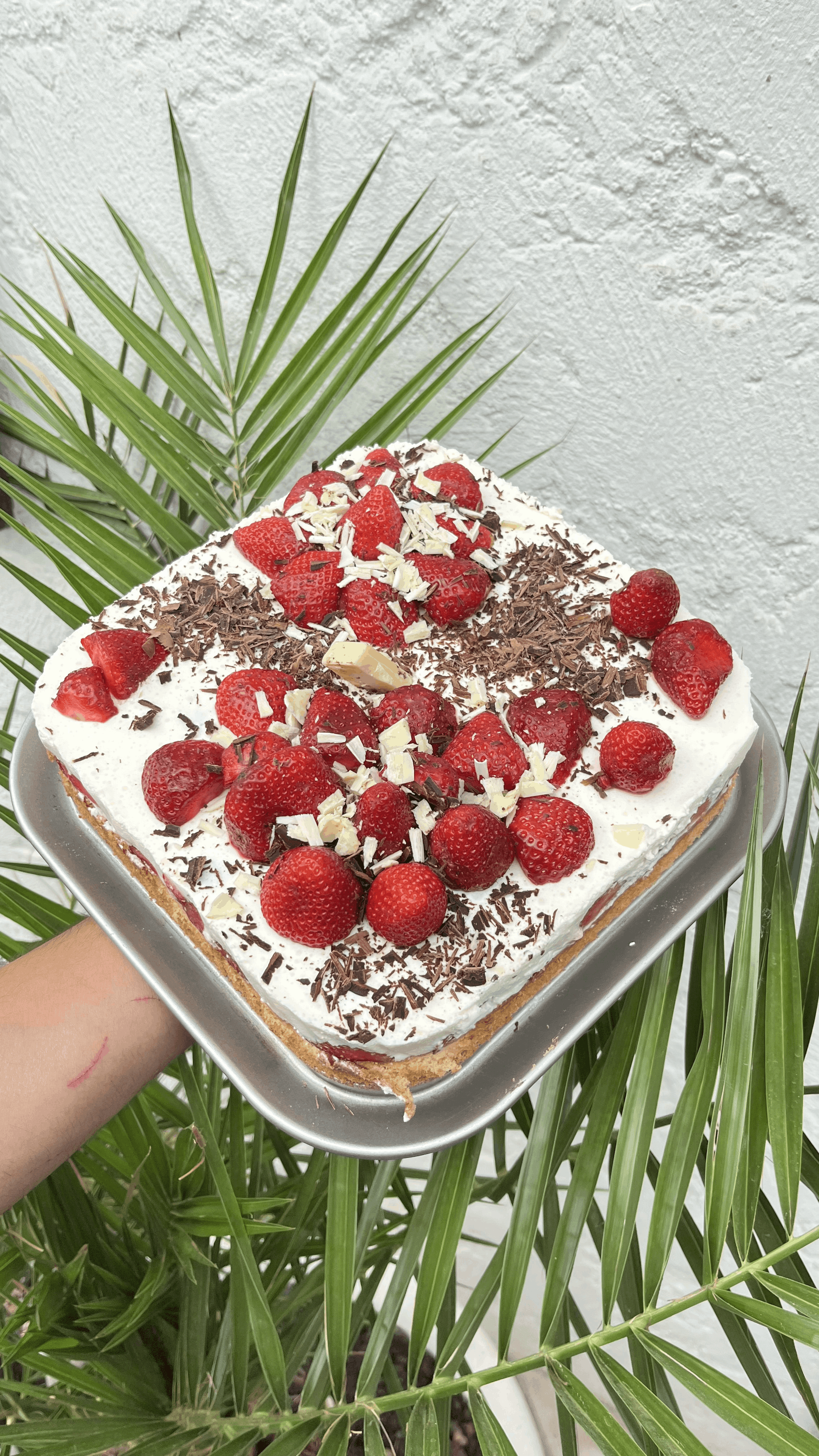 Ce gâteau généreux se compose d'un biscuit moelleux imbibé, surmonté d'une couche épaisse de crème légère façon "lait fraise". Il est richement décoré de fraises fraîches entières et découpées, nichées dans un nuage de crème. Les éclats de chocolat noir apportent la touche de caractère nécessaire pour sublimer le sucre naturel des fraises de saison.