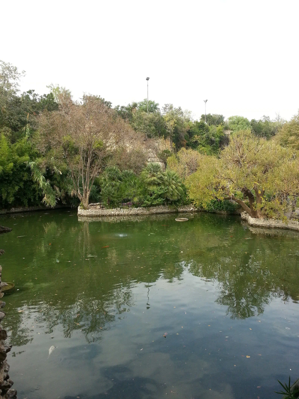 Alamo Heights
