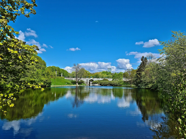 Frogner