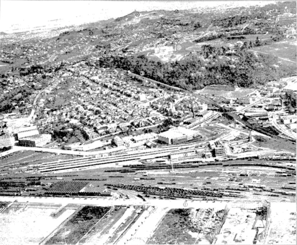 Parnell