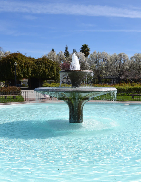 Rose Garden