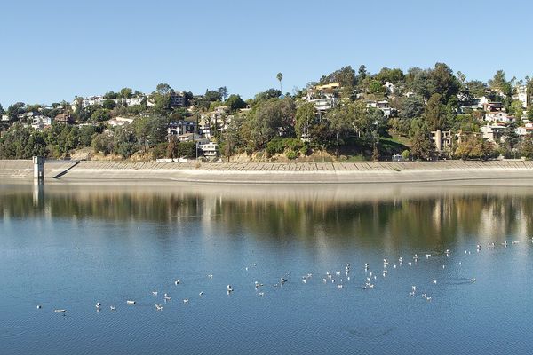Silver Lake / Los Feliz