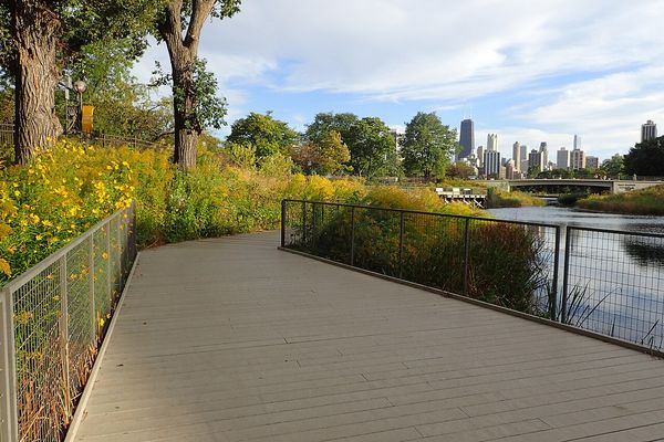 Lincoln Park / Lakeview