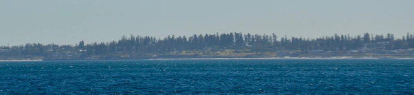 Cottesloe