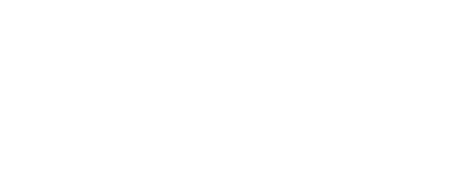 RadialFlipz Logo