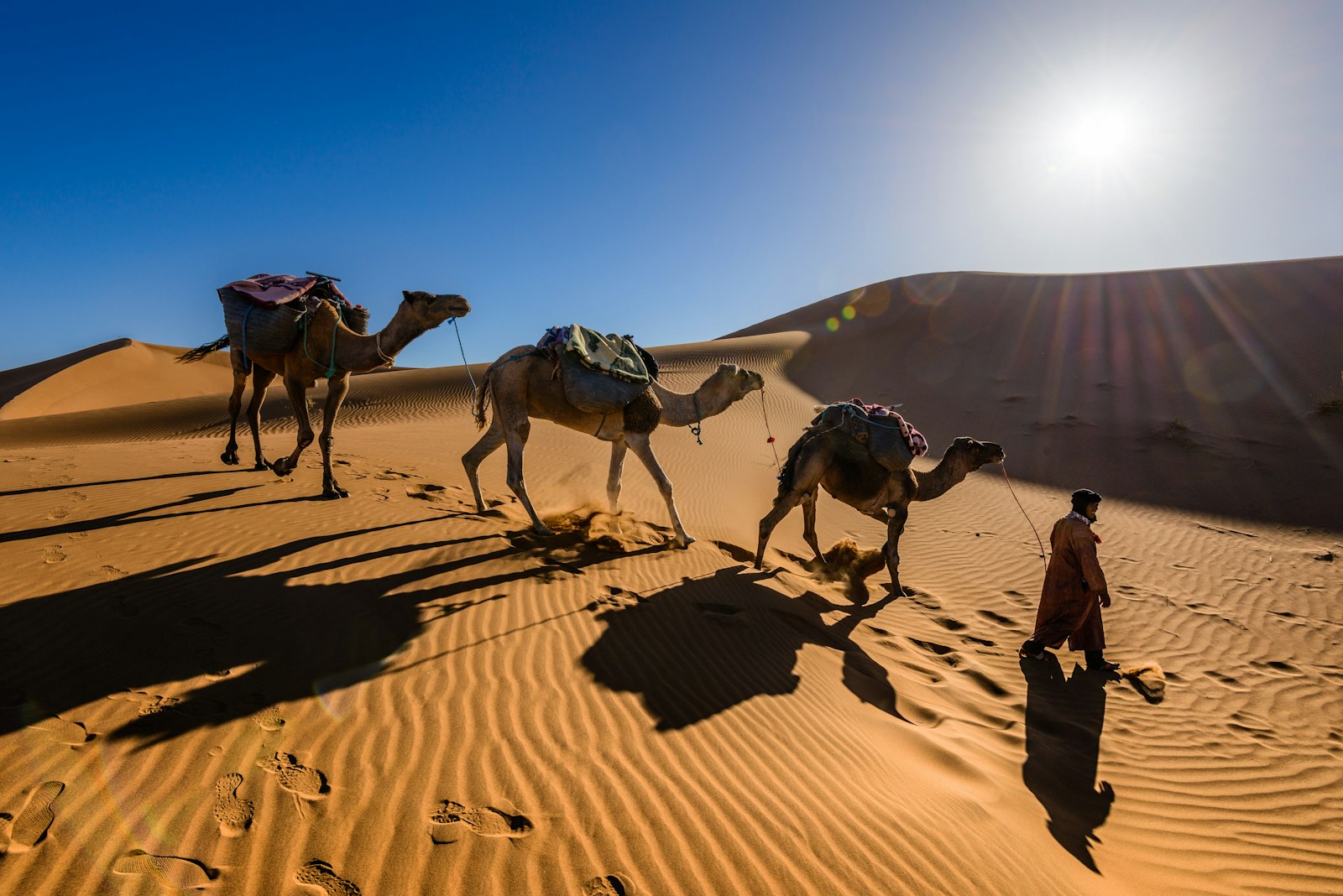 Camel ride