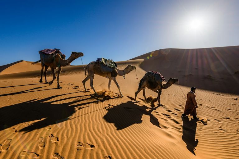 Best 4 Days Desert Tour from Marrakech to Merzouga