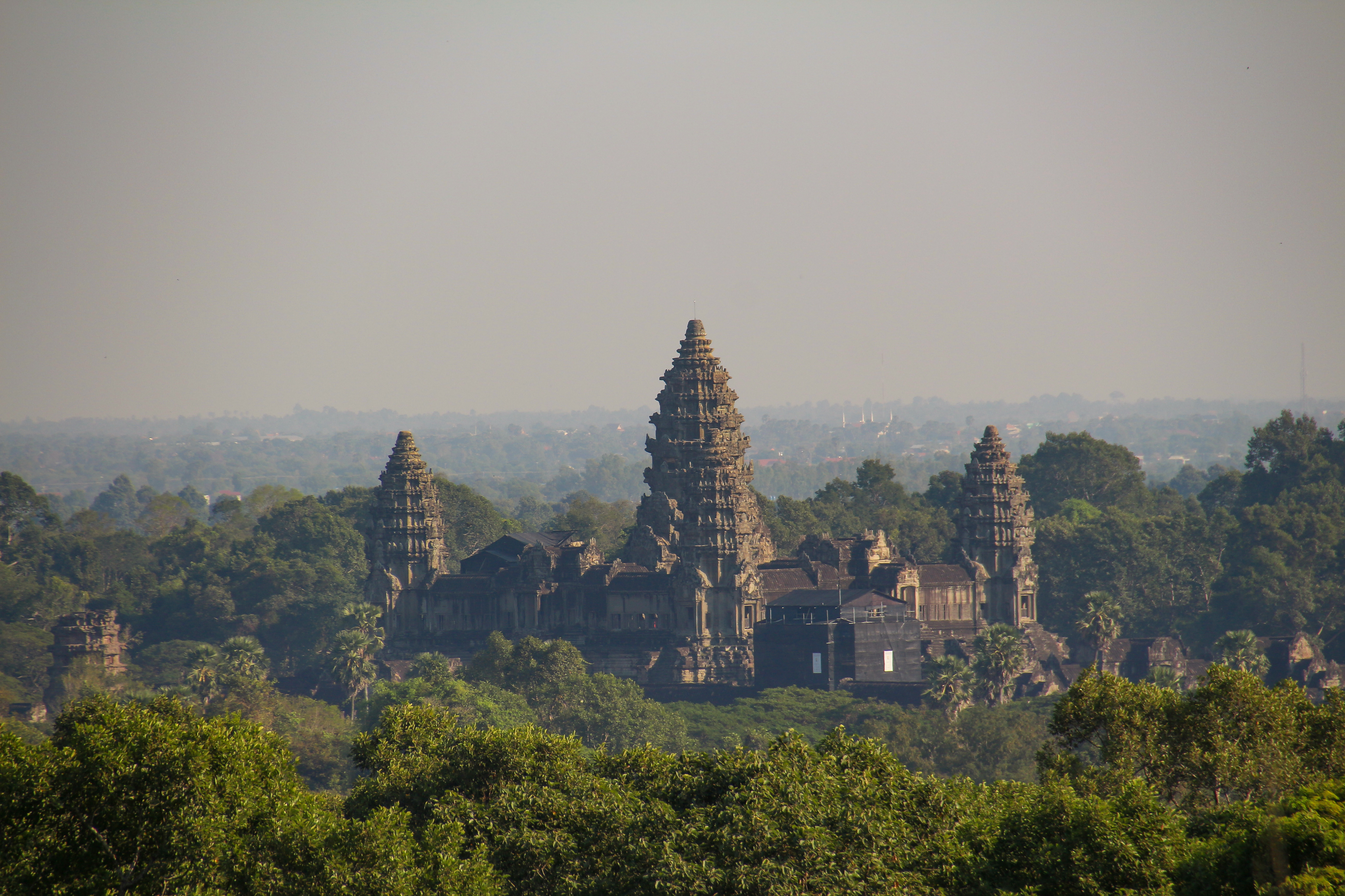 panoramic-view-trees-buildings-against-clear-sky.jpg