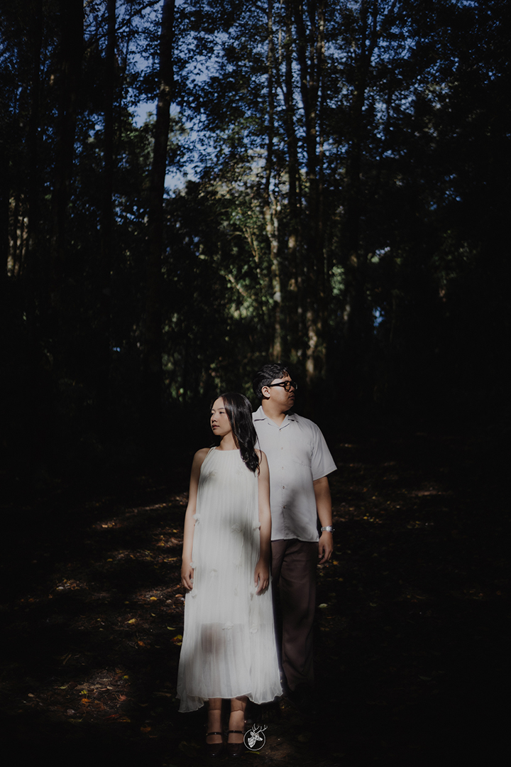 Artamira & Salman 3