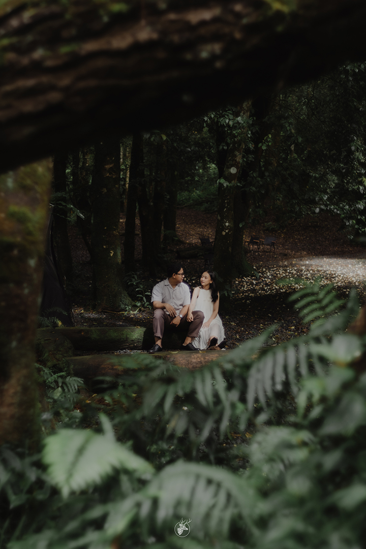 Artamira & Salman 10