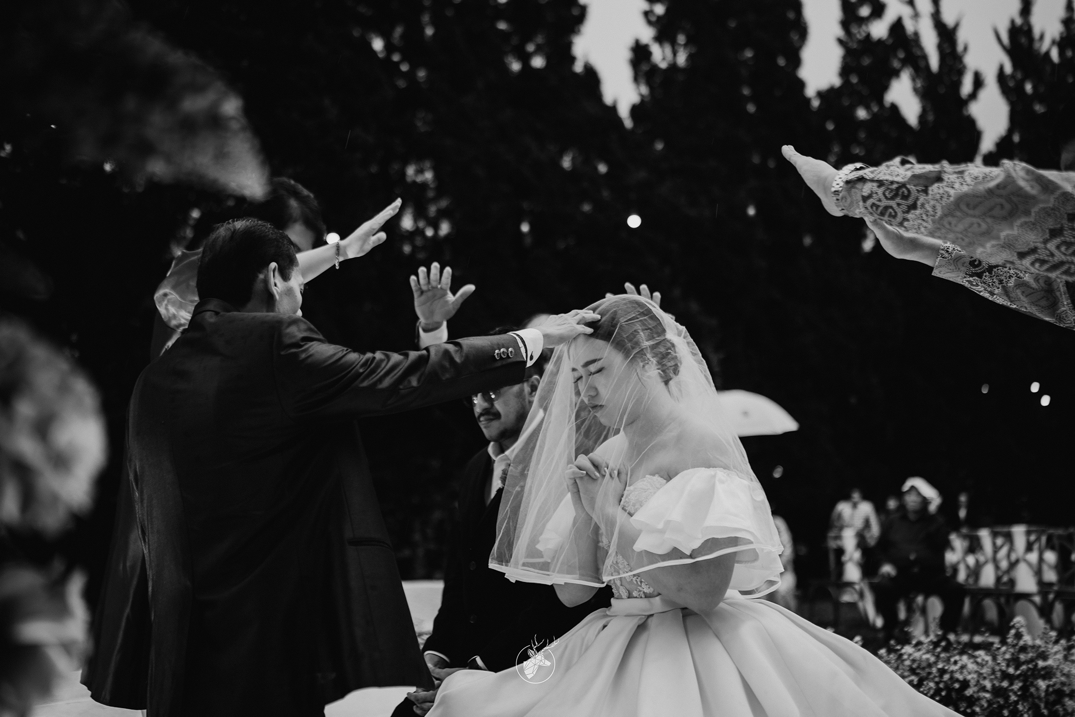 Sharon & Harold 11