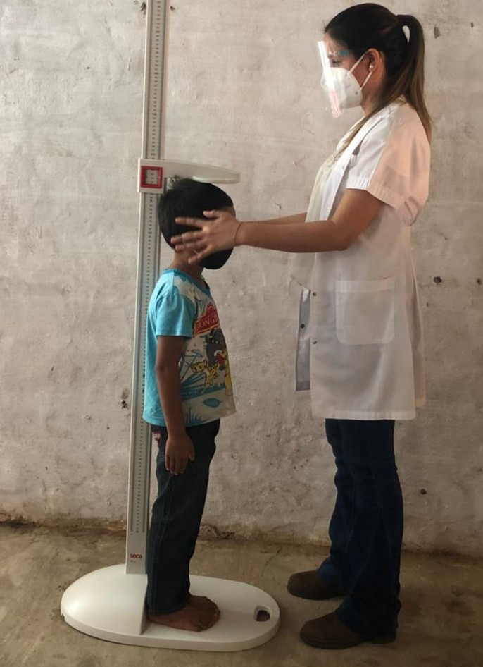 Alianzas con ONGs - Programas de nutrición