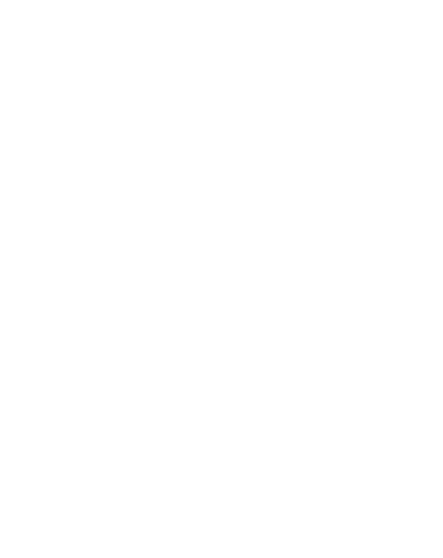 Naible AI