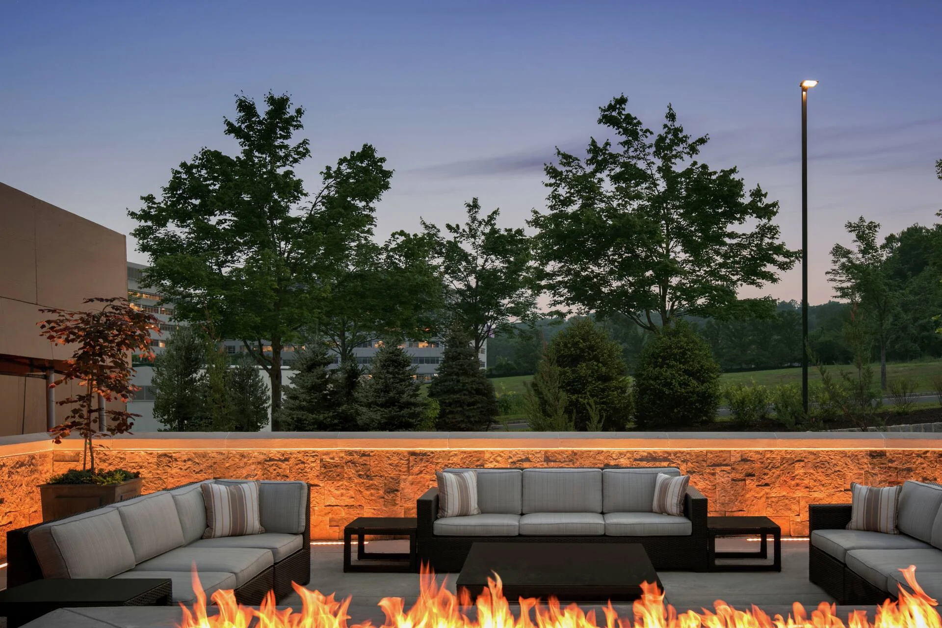 Embassy Suites by Hilton Berkeley Heights 5