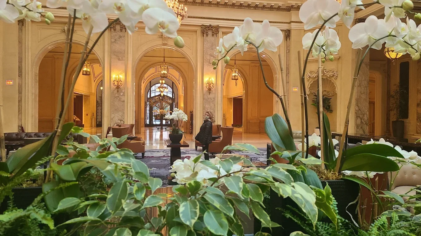 Palace Hotel, a Luxury Collection Hotel, San Francisco 5