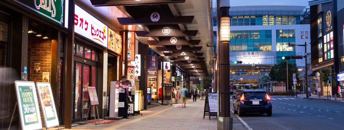 Article illustration for Local Area Guide: Odawara, Kanagawa