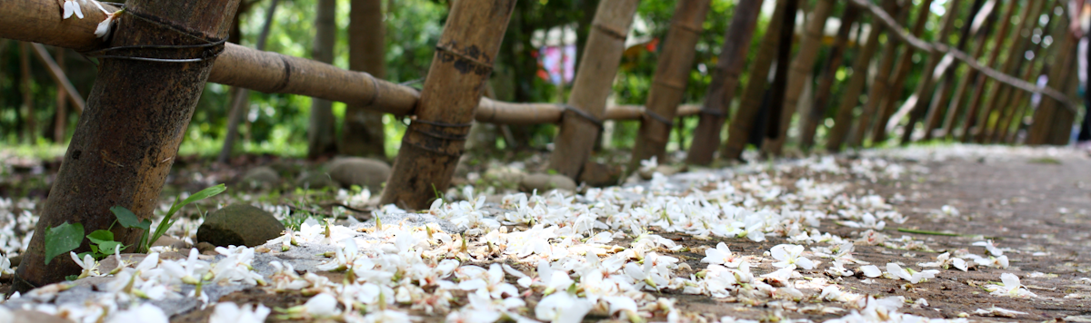 Article - Fully Covered: The Ultimate Guide to Home Insurance in Japan