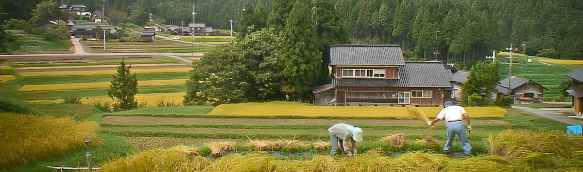 Article - Akiya Homes: Unique Opportunities in Japanese Real Estate