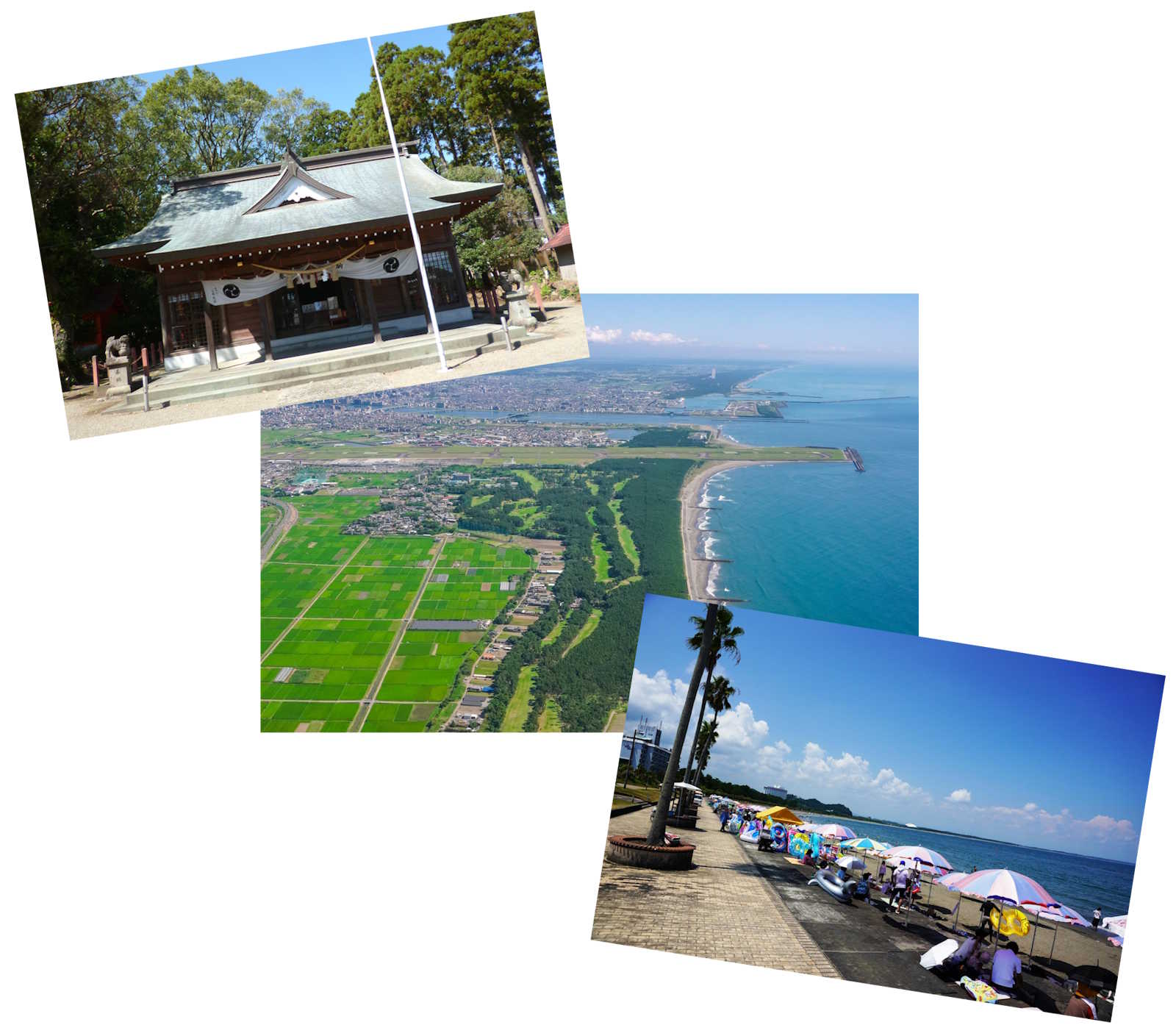 Article - Brand New Family Home Near Beach, Airport, and City Life