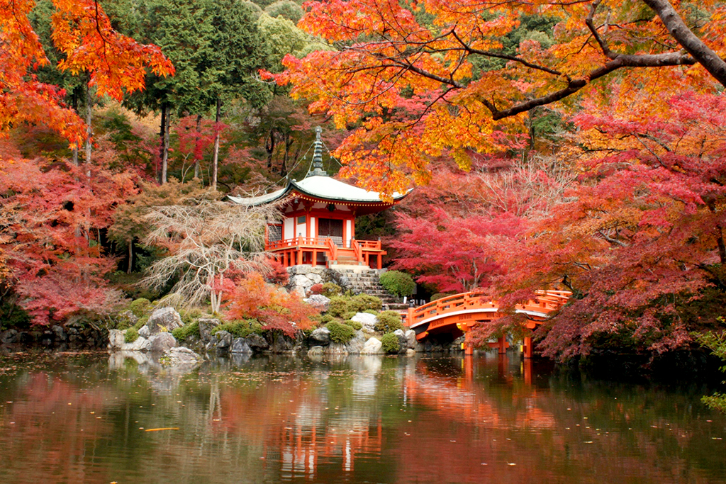 Article - A Kyoto Hideaway for Under $65K? Yes, Really.