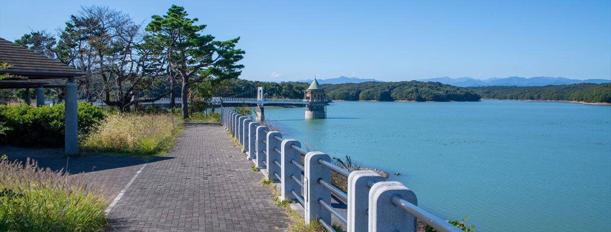 Article illustration for Local Area Guide: Tokorozawa, Saitama