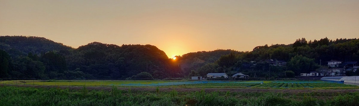 Article - Inheriting Property in Japan: What Foreign Owners and Families Should Know