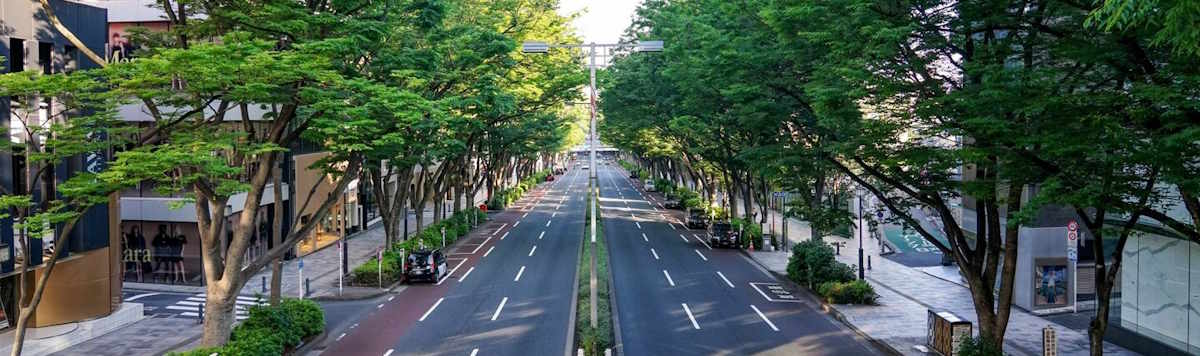 Article - Do I Need to be In Japan to Buy a House?