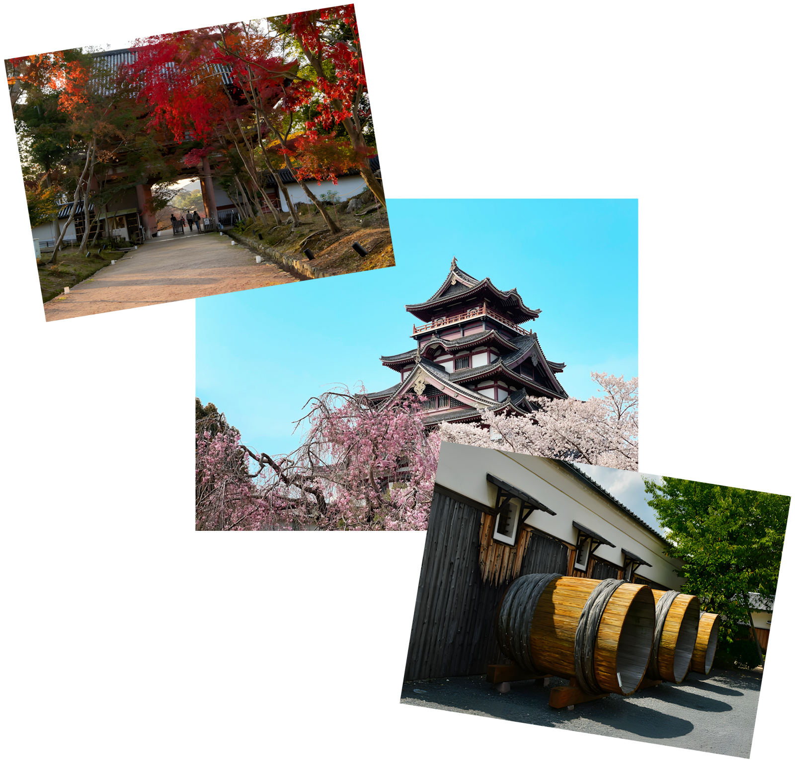 Article - Weekly Featured Property: 3LDK Refresh in Kyoto’s Sake District (Sold)