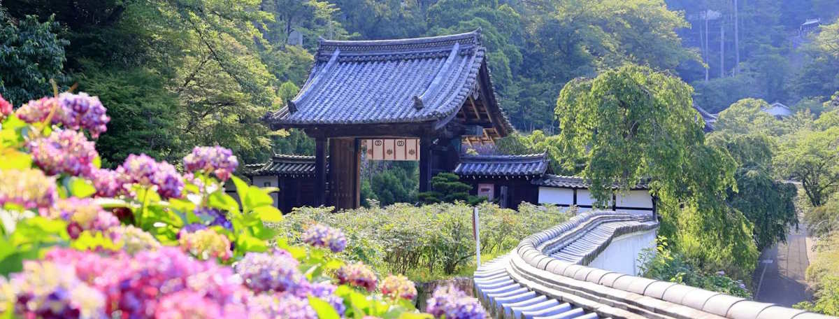 Article illustration for Local Area Guide: Kamakura, Kanagawa