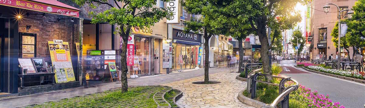 Article - The Airbnb Question: What Most Foreign Buyers Discover About Minpaku in Japan