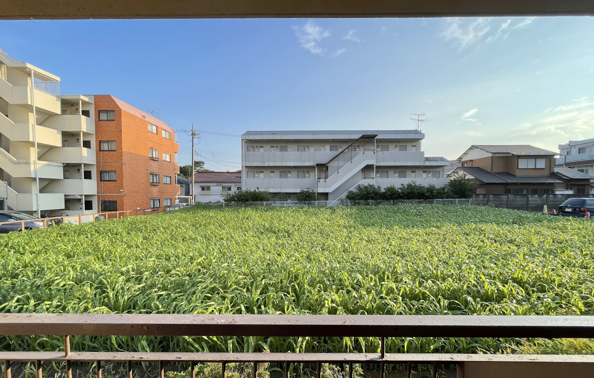 Article - $56K Tokyo Buy: Rental Potential!