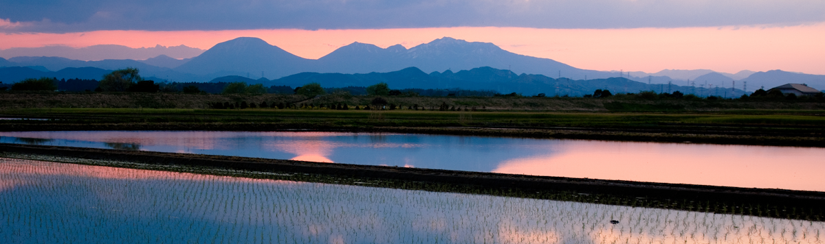 Article - Time Will Tell: Age-Adjusted Housing Values