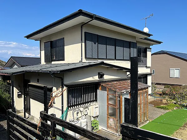 Article - A Rare Find in Coastal Shizuoka